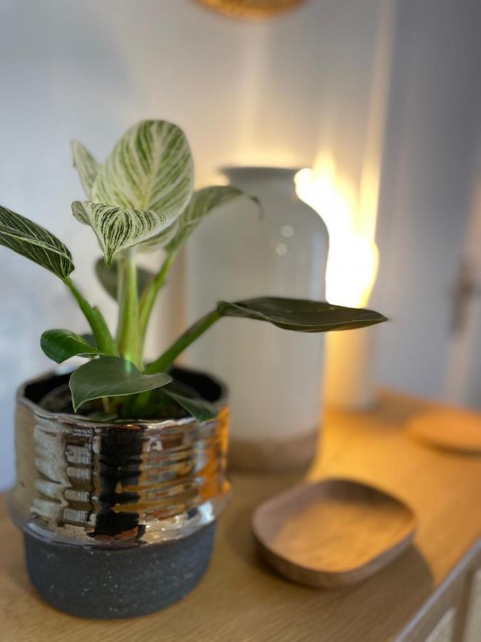 Canopee - Appartement - Hyper Centre Ville كْيَمبيه المظهر الخارجي الصورة